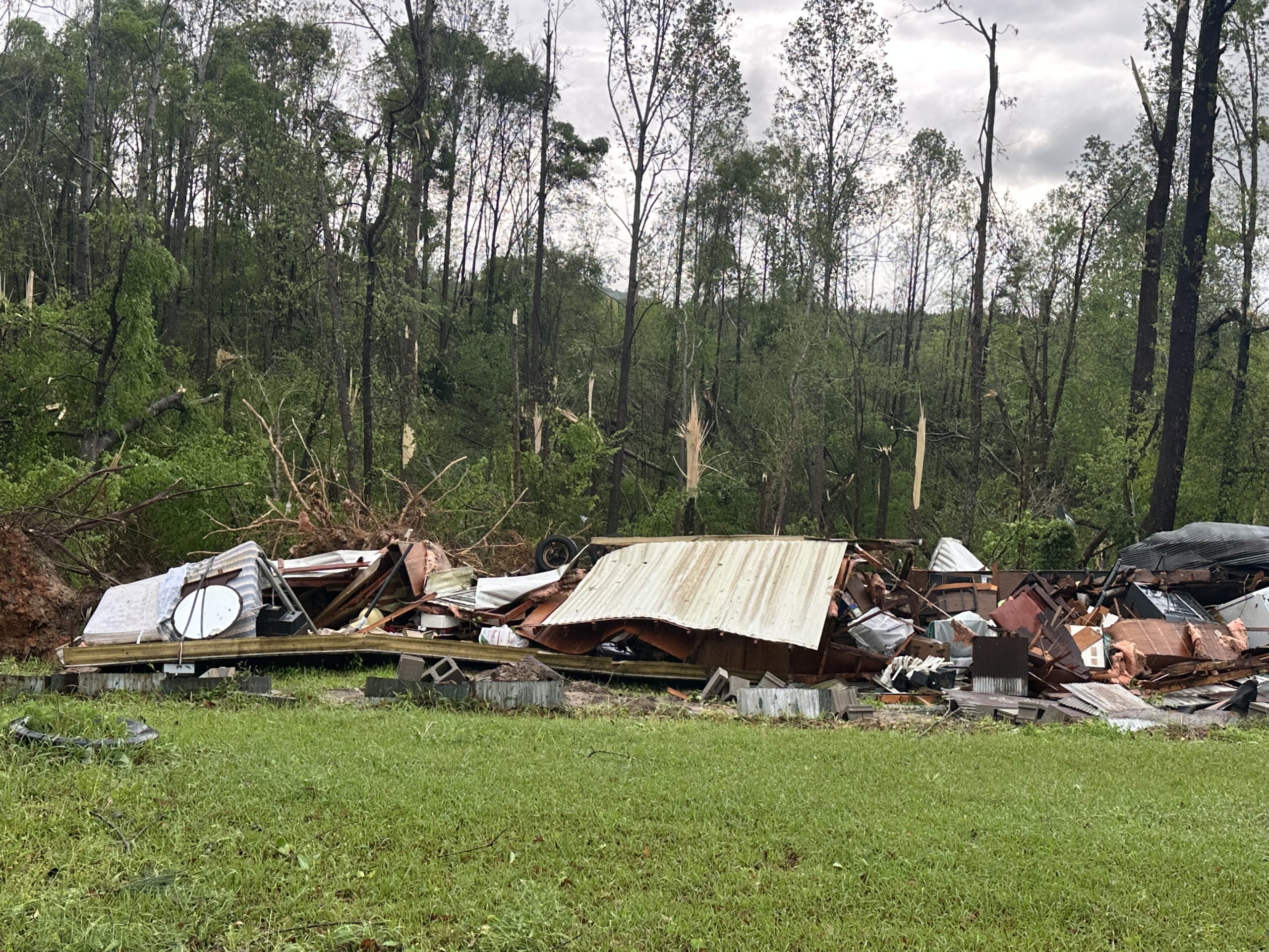 Storm damage reported in Wilcox County - WAKA 8